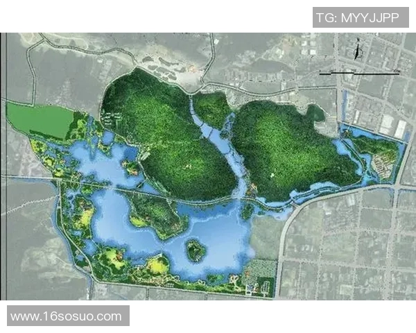 杭州乒乓球队全面革新策略带来的整体压制效应分析与展望