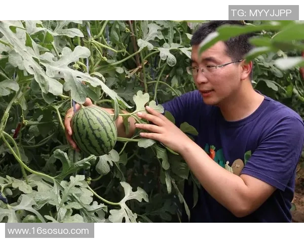 武汉羽毛球队崛起之路：从默默无闻到大满贯的辉煌历程